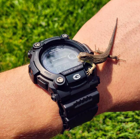 Годинник Casio G-SHOCK Classic GW-7900B-1ER GW-7900B-1ER фото