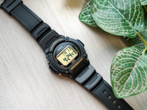 Годинник Casio TIMELESS COLLECTION W-219H-1A2VEF W-219H-1A2VEF фото