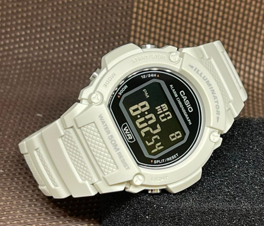 Годинник Casio TIMELESS COLLECTION W-219HC-8B W-219HC-8B фото