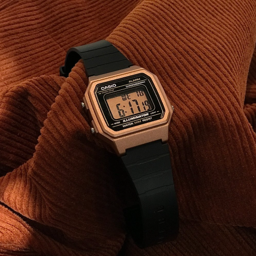 Годинник Casio TIMELESS COLLECTION W-217HM-5AVEF W-217HM-5AVEF фото