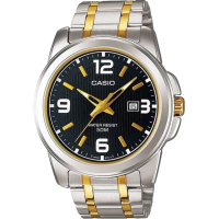 Часы Casio TIMELESS COLLECTION MTP-1314SG-1AVDF