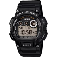 Часы Casio TIMELESS COLLECTION W-735H-1AVEF