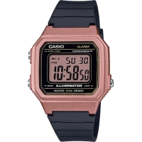 Часы Casio TIMELESS COLLECTION W-217HM-5AVEF