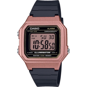 Часы Casio TIMELESS COLLECTION W-217HM-5AVEF