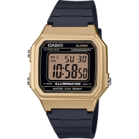 Часы Casio TIMELESS COLLECTION W-217HM-9AVEF