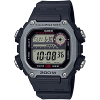 Часы Casio TIMELESS COLLECTION DW-291H-1AVEF