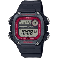 Часы Casio TIMELESS COLLECTION DW-291H-1BVEF
