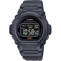 Часы Casio TIMELESS COLLECTION W-219H-8B