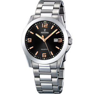 Часы Festina Classics F16376/6