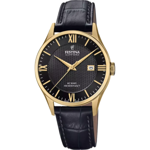 Часы Festina Swiss Made F20010/4