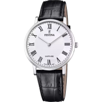 Часы Festina Swiss Made F20012/2