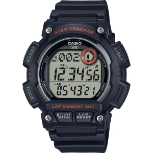 Часы Casio TIMELESS COLLECTION WS-2100H-1A