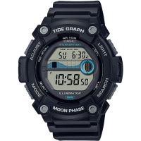 Часы Casio TIMELESS COLLECTION WS-1300H-1AVEF