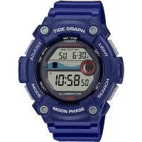 Часы Casio TIMELESS COLLECTION WS-1300H-2AVEF