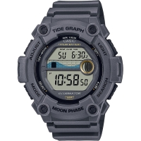 Часы Casio TIMELESS COLLECTION WS-1300H-8AVEF