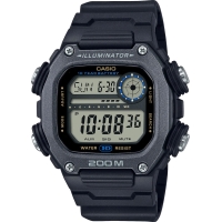 Часы Casio TIMELESS COLLECTION DW-291HX-1A