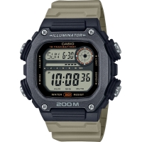 Часы Casio TIMELESS COLLECTION DW-291HX-5A