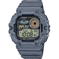 Часы Casio TIMELESS COLLECTION WS-1700H-8A