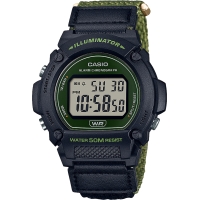 Часы Casio TIMELESS COLLECTION W-219HB-3AVEF