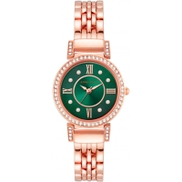 Часы Anne Klein AK/2928GNRG