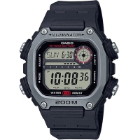 DW-291H-1A