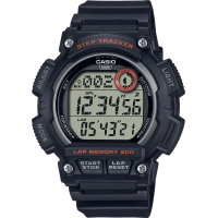 WS-2100H-1A