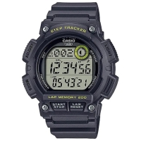 WS-2100H-8A