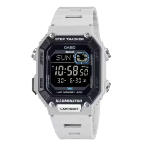 WS-B1000-8B